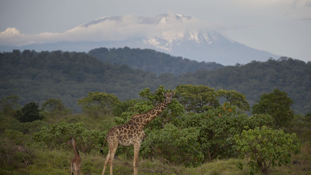 Kilimandžáro je připojené k internetu. Má zlákat turisty se sociálními sítěmi
